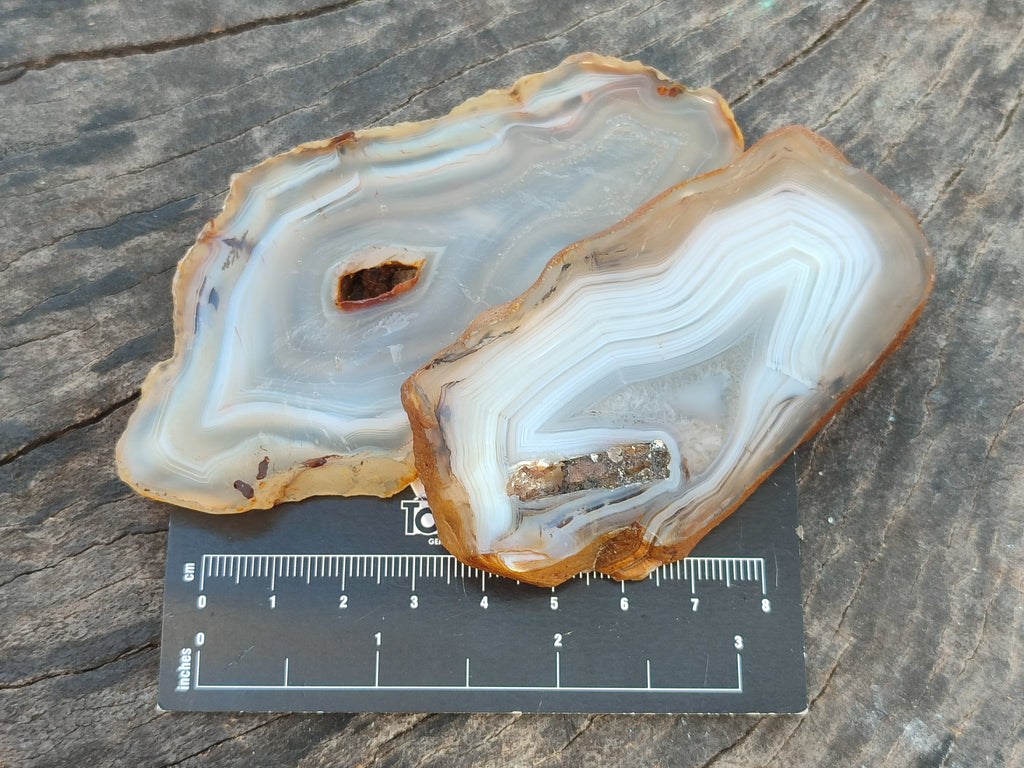 Polished Banded Agate Slices x 24 From Madagascar - Toprock Gemstones and Minerals 