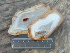 Polished Banded Agate Slices x 24 From Madagascar - Toprock Gemstones and Minerals 