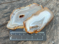 Polished Banded Agate Slices x 24 From Madagascar