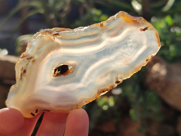 Polished Banded Agate Slices x 24 From Madagascar