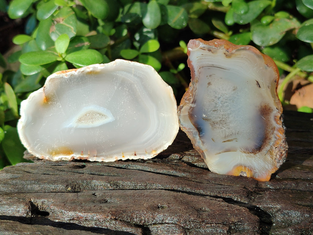 Polished Banded Agate Slices x 24 From Madagascar - Toprock Gemstones and Minerals 