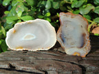 Polished Banded Agate Slices x 24 From Madagascar - Toprock Gemstones and Minerals 