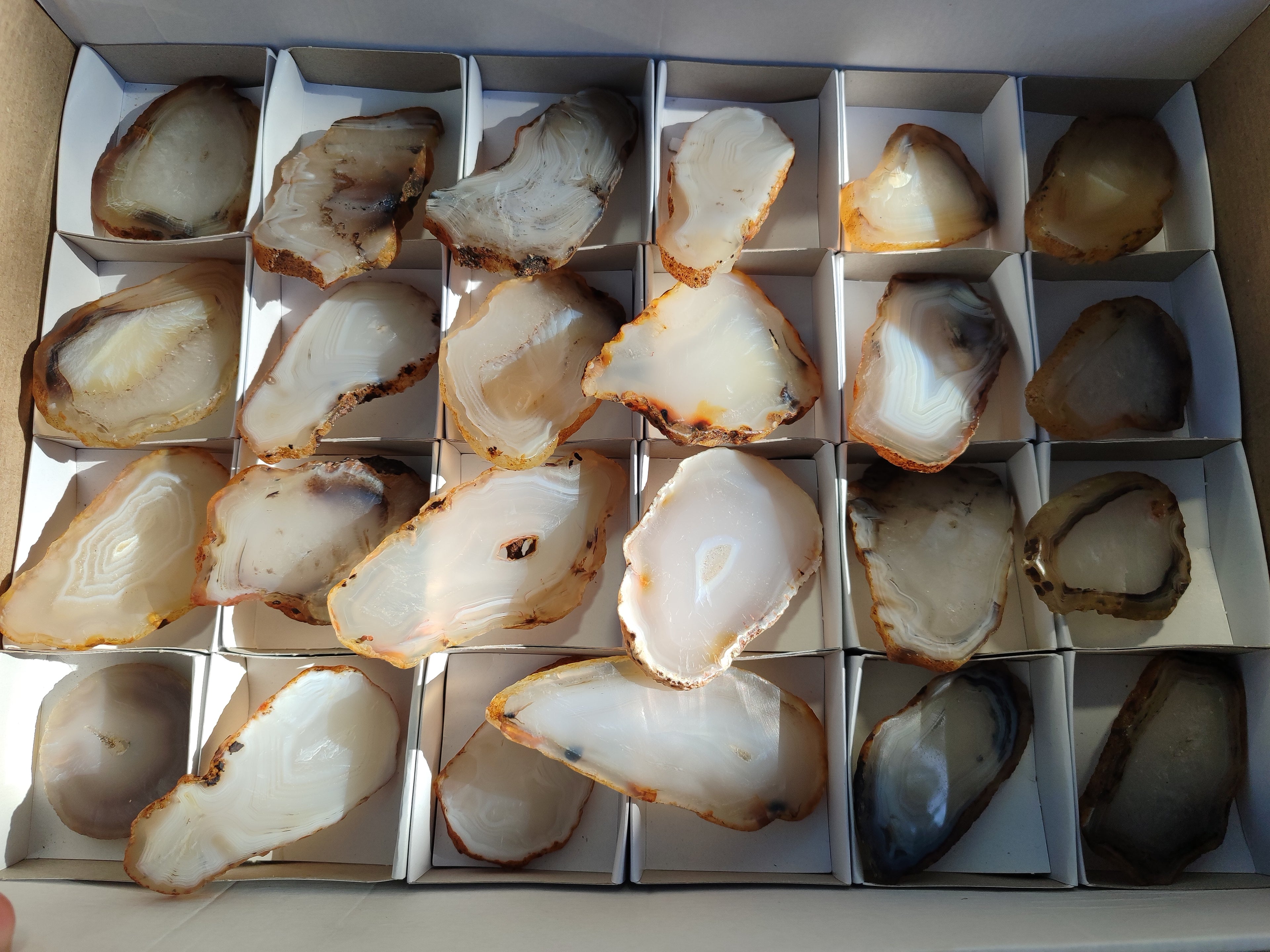 Polished Banded Agate Slices x 24 From Madagascar - Toprock Gemstones and Minerals 