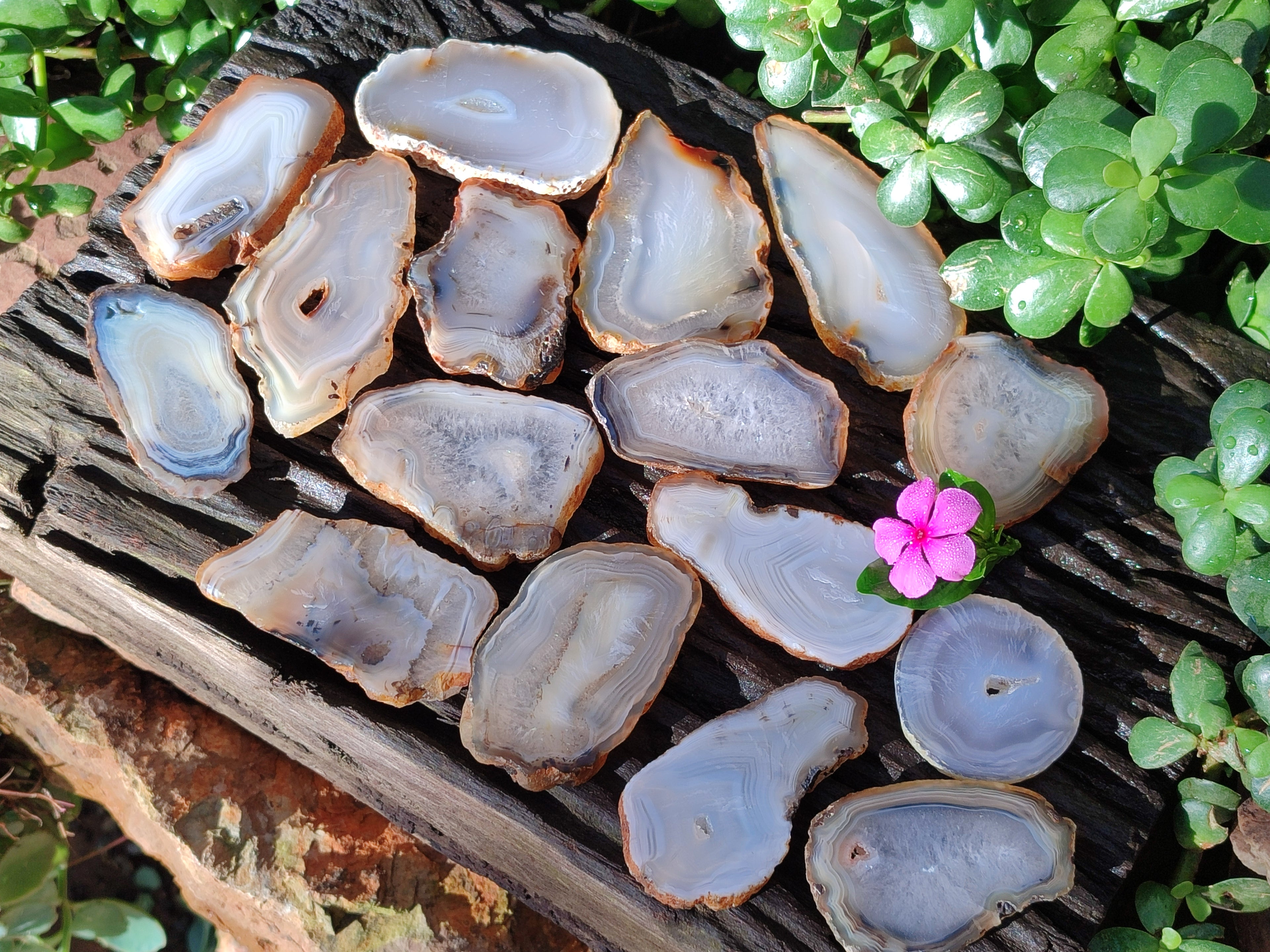 Polished Banded Agate Slices x 24 From Madagascar - Toprock Gemstones and Minerals 