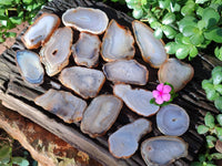 Polished Banded Agate Slices x 24 From Madagascar