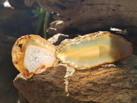 Polished Banded Agate Slices x 24 From Madagascar