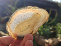 Polished Banded Agate Slices x 24 From Madagascar