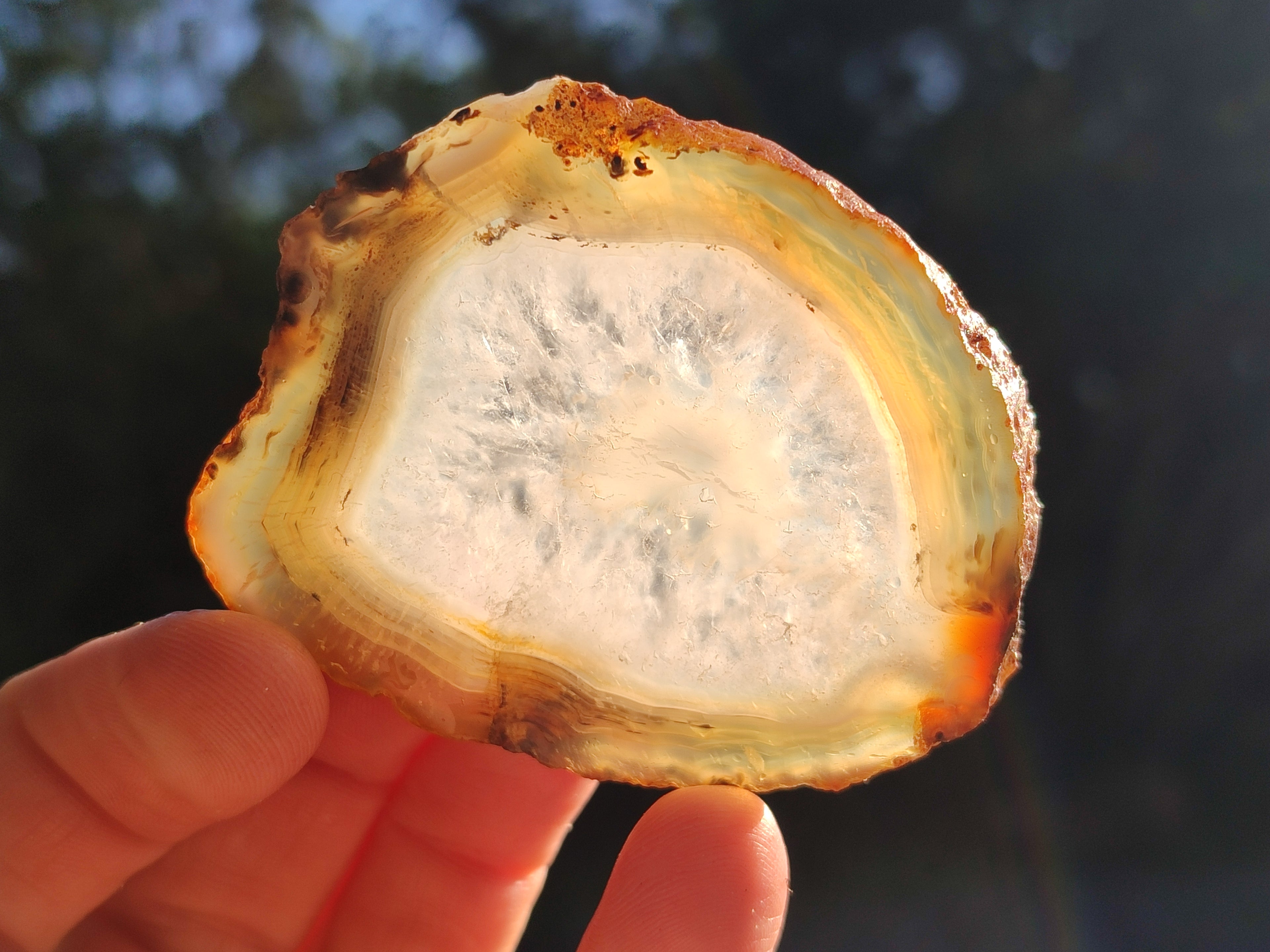 Polished Banded Agate Slices x 24 From Madagascar - Toprock Gemstones and Minerals 