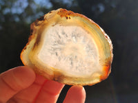 Polished Banded Agate Slices x 24 From Madagascar