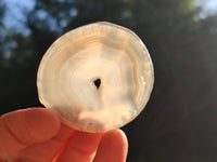 Polished Banded Agate Slices x 24 From Madagascar