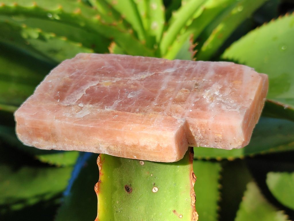 Natural Sunset Orange Rhombohedron Calcite Specimens x 12 From Spitzkop, Namibia - Toprock Gemstones and Minerals 
