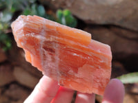 Natural Sunset Orange Rhombohedron Calcite Specimens x 12 From Spitzkop, Namibia