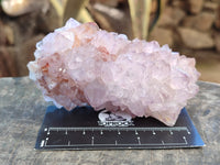 Natural Cactus Flower Sunburst Spirit Amethyst Clusters x 3 From South Africa