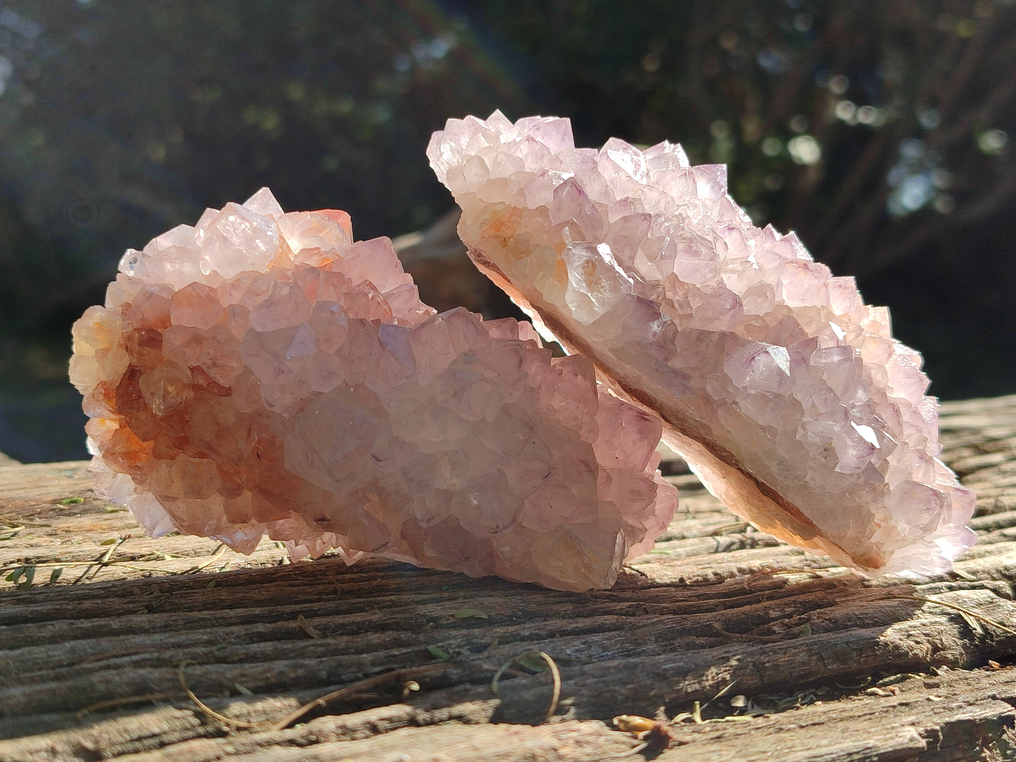 Natural Cactus Flower Sunburst Spirit Amethyst Clusters x 3 From South Africa - Toprock Gemstones and Minerals 