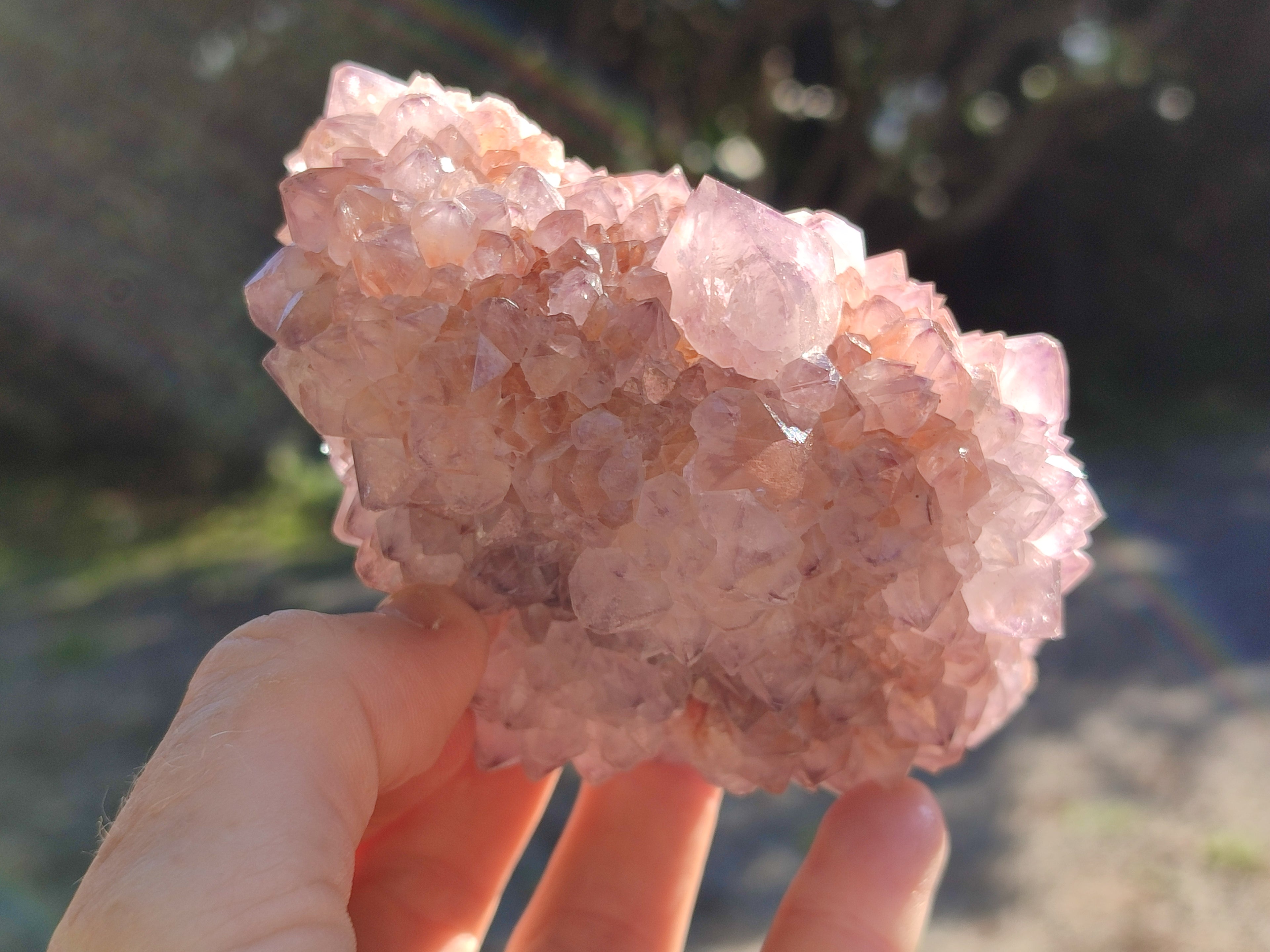 Natural Cactus Flower Sunburst Spirit Amethyst Clusters x 3 From South Africa - Toprock Gemstones and Minerals 