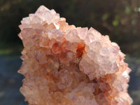 Natural Cactus Flower Sunburst Spirit Amethyst Clusters x 3 From South Africa