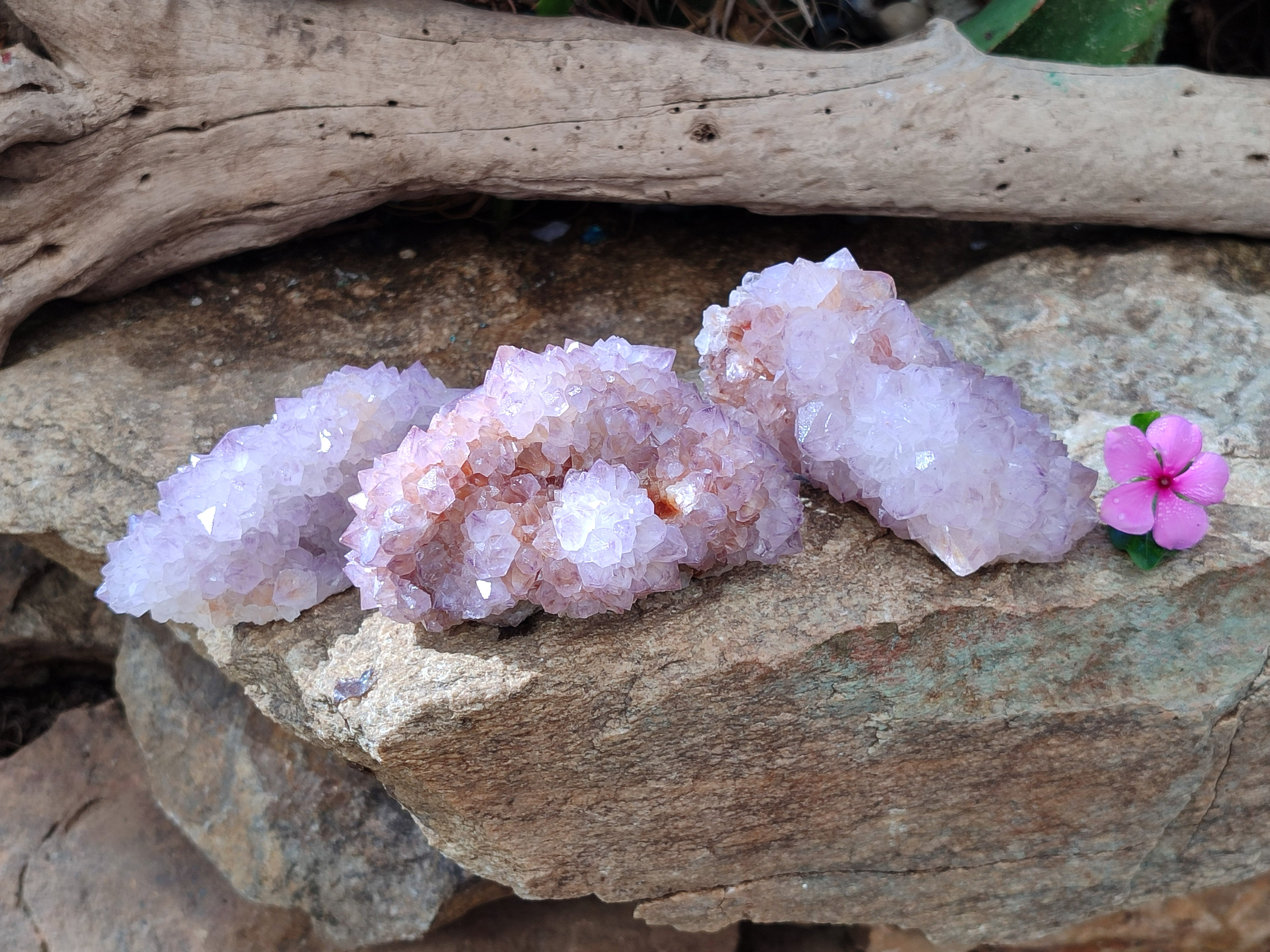 Natural Cactus Flower Sunburst Spirit Amethyst Clusters x 3 From South Africa - Toprock Gemstones and Minerals 