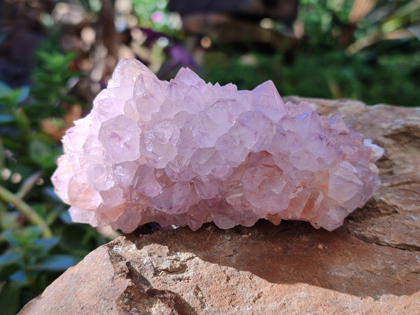 Natural Cactus Flower Sunburst Spirit Amethyst Clusters x 3 From South Africa