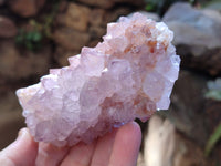 Natural Cactus Flower Sunburst Spirit Amethyst Clusters x 3 From South Africa