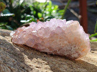 Natural Cactus Flower Sunburst Spirit Amethyst Clusters x 3 From South Africa