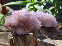 Natural Cactus Flower Sunburst Spirit Amethyst Clusters x 3 From South Africa