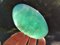 Polished Green Fluorite Standing Free Forms x 6 From Madagascar