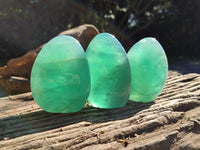 Polished Green Fluorite Standing Free Forms x 6 From Madagascar