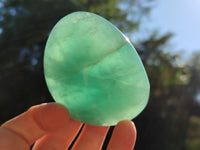 Polished Green Fluorite Standing Free Forms x 6 From Madagascar