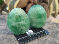 Polished Green Fluorite Standing Free Forms x 6 From Madagascar