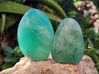 Polished Green Fluorite Standing Free Forms x 6 From Madagascar
