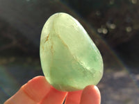 Polished Green Fluorite Standing Free Forms x 6 From Madagascar