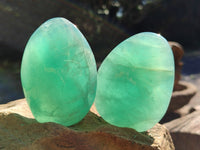 Polished Green Fluorite Standing Free Forms x 6 From Madagascar