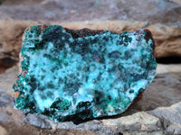 Natural Drusy Coated Stalagmite Chrysocolla with Malachite on Dolomite Matrix x 6 From Lupoto Mine, Congo