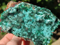 Natural Drusy Coated Stalagmite Chrysocolla with Malachite on Dolomite Matrix x 6 From Lupoto Mine, Congo