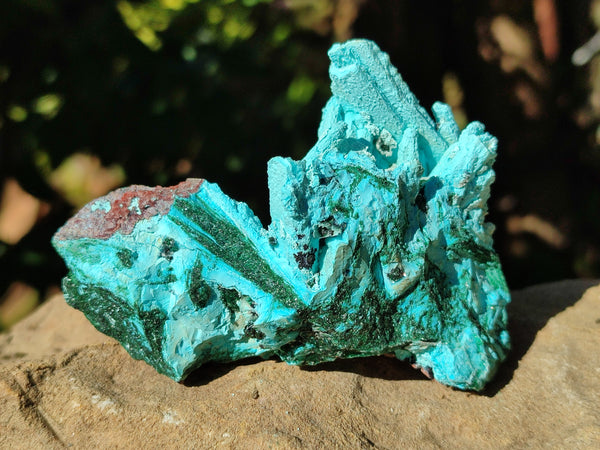 Natural Drusy Coated Stalagmite Chrysocolla with Malachite on Dolomite Matrix x 6 From Lupoto Mine, Congo