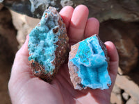Natural Drusy Coated Stalagmite Chrysocolla with Malachite on Dolomite Matrix x 6 From Lupoto Mine, Congo