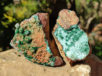 Natural Drusy Coated Stalagmite Chrysocolla with Malachite on Dolomite Matrix x 6 From Lupoto Mine, Congo