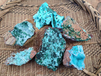 Natural Drusy Coated Stalagmite Chrysocolla with Malachite on Dolomite Matrix x 6 From Lupoto Mine, Congo