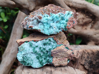 Natural Drusy Coated Stalagmite Chrysocolla with Malachite on Dolomite Matrix x 6 From Lupoto Mine, Congo