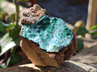 Natural Drusy Coated Stalagmite Chrysocolla with Malachite on Dolomite Matrix x 6 From Lupoto Mine, Congo