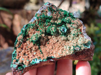 Natural Drusy Coated Stalagmite Chrysocolla with Malachite on Dolomite Matrix x 6 From Lupoto Mine, Congo