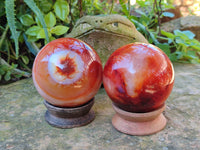 Polished Carnelian Agate Spheres x 2 From Madagascar