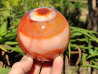 Polished Carnelian Agate Spheres x 2 From Madagascar