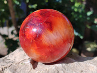 Polished Carnelian Agate Spheres x 2 From Madagascar