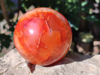 Polished Carnelian Agate Spheres x 2 From Madagascar