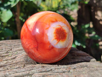 Polished Carnelian Agate Spheres x 2 From Madagascar