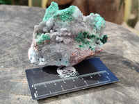 Natural Drusy Coated Chrysocolla with Malachite and a Hemimorphite specimen on Dolomite Matrix x 6 From Lupoto Mine, Congo