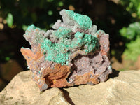 Natural Drusy Coated Chrysocolla with Malachite and a Hemimorphite specimen on Dolomite Matrix x 6 From Lupoto Mine, Congo