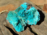 Natural Drusy Coated Chrysocolla with Malachite and a Hemimorphite specimen on Dolomite Matrix x 6 From Lupoto Mine, Congo