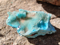 Natural Drusy Coated Chrysocolla with Malachite and a Hemimorphite specimen on Dolomite Matrix x 6 From Lupoto Mine, Congo